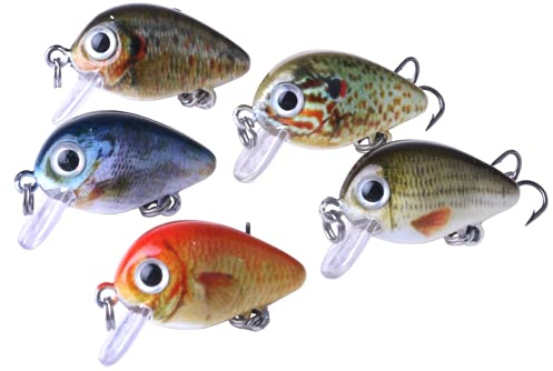 5X Mini Wobbler Set Kunstköder Crankbait Raubfisch Köder Barsch Hecht Zander Wels