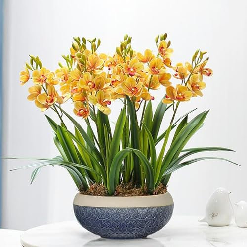 ZEYRU Wohnkultur Künstliche Orchidee Topfpflanzen Wohnzimmer Büro Desktop Dekoration Blumen Muttertag Ornamente Blumen-Blauer Blumentopf A
