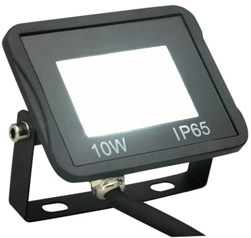Projecteur à LED 10 W Blanc froid