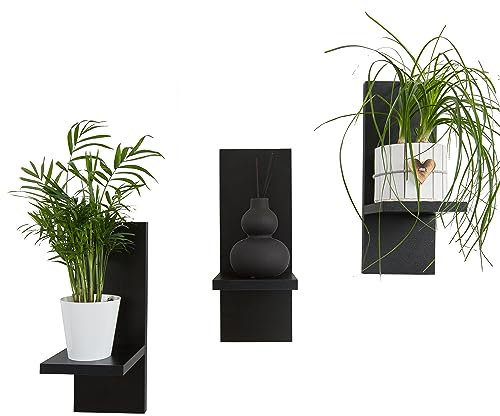 Mex-System Lot de 3 étagères murales élégantes en bois pour vos plantes et décoration murale (noir)