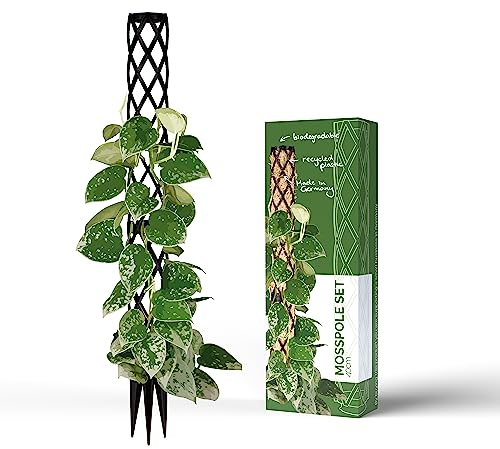 PlantMe Rankhilfe mini, kleine Rankhilfen für Kletterpflanzen, Monstera, Moosstab, Pflanzstab, Pflanzenstütze, small Moss Pole, Kletterhilfe Zimmerpflanzen (40cm Without Filling, Schwarz)