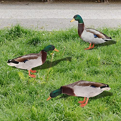 NOZEM 3PC Gartenstecker Stockente Gartendeko Acryl Frühling Osterdeko Outdoor Ente Geflügeldekoration Lustiges Gartenstatuen Ornament Gartenfiguren Geflügeldekoration (Multicolor, One Size)