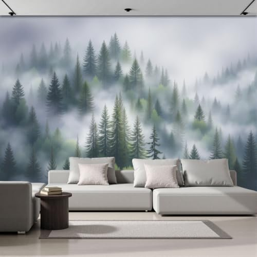 ZISTRCBAO Papier Peint Panoramique Paysage Minimaliste250x175cm