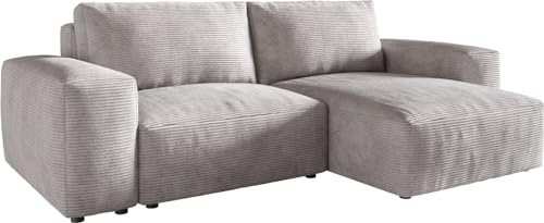 DELIFE Eckcouch Lanzo L Cord Silbergrau 260x160 cm Recamiere variabel