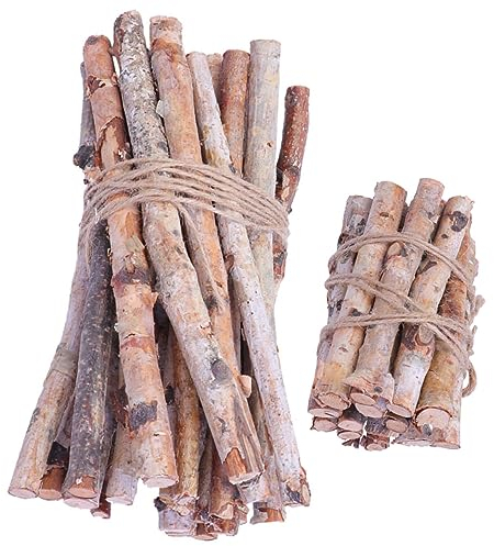 SEWACC 40 Stück Birkenzweige Holzscheite Kaminscheite Dekorative Getrocknete Zweige Birkenzweige Getrocknete Zweige Zweige Zum Basteln Stöcke Für Vasen Zur Dekoration Vasendekorationen