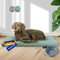 Rohrschneider Hundebett Made in EU | Hundematte mit Anti-Rutsch | strapazierfähiges Hundekissen kleine, mittelgroße & große Hunde | Katzenbett | inkl. Futternapf | Gr. 3 (türkis, 120 x 75 x 7 cm)