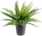 PEGANE Plante Artificielle Haute Gamme Spécial extérieur/Fougere Artificielle - Dim : 40 x 55 cm