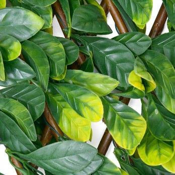 Woodland Artificial Laurel Leaf Trellis | 2m x 1m Expandable Privacy Screening Hedge for Outdoor Gardens, Balcony, and Terraces | Realistic and UV-Stabilized Decorative Fencing Panel