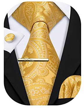 Barry.Wang Herren Krawatte Einfarbig Paisley Uni Schlips Satin Mit Einstecktuch Hochzeit Krawattenset