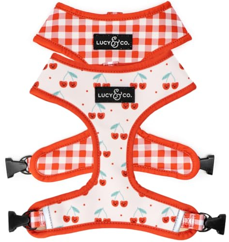 Lucy & Co. Cheery Cherries, niedliches wendbares Hundegeschirr, Spazierengehhalfter, beste Designer-Haustiergeschirre für XS-XL, gepolsterte, verstellbare Weste für einfaches Spazierengehen, Größe XL
