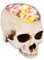 Schädelförmiger Blumentopf, Halloween Dekorationen Schädel Pflanzer, Harz Totenkopf Deko für Candy Bowl, Blumentopf, Schädel, Kopf Design Blumentopf für Schreibtischdekoration Tischdekoration