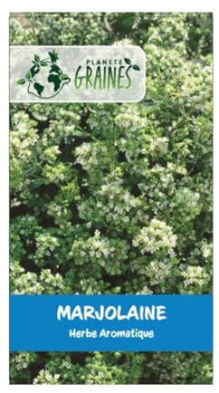 10 graines de marjolaine annuelle - herbe aromatique - majorana -