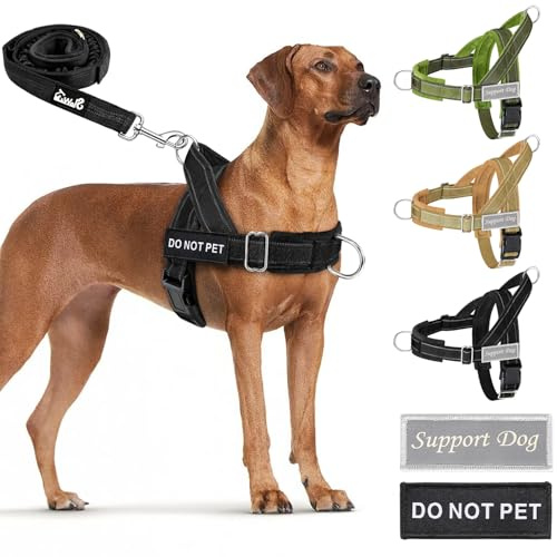 Eyein No Pull Harness for Dogs, Pet Vest and Lead Set with Front Clip | No Choke Design, Adjustable Reflective Anti-pull, Heavy Duty Soft Padded for Walking Training, for Medium Large Dog(Black,L)