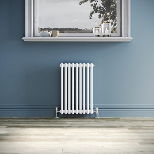 ZANOFIRA White Traditional Radiator Cast Iron Style Double Column Colosseum Horizontal Designer Radiator Central Heating Panel Rad for Bathroom, Living Room and Kitchen, 600x425mm