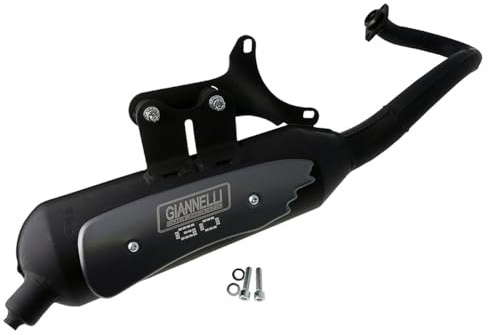 GIANNELLI Auspuff für Piaggio 50 Fly Roller 2010-2013 31558R c NEU