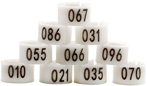 MasXirch Taubenring Vogelbeinbänder Fußring Beinring Mehrfarbig nummeriert 1-100 8mm Racing Papagei Küken Ente Clip Ringe Band (Grün)