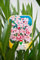 Vannucci Piante - Nerium oleander, Oleandro, Pianta vera in vaso (Rosa)