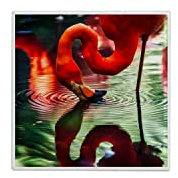 Carreau Ceramique Décoratif - Flamant Rouge Se Reflete dans L'Eau Fait des Ronds dans l'eau - 4,5 x 4,5 cm