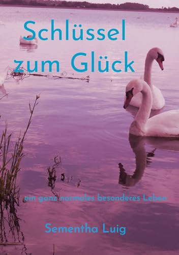 Schlüssel zum Glück: ein ganz normales besonderes Leben (Schlüssel zum Glück, Bis zum Mond und zurück)