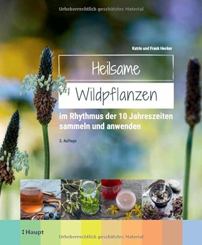 Heilsame Wildpflanzen: im Rhythmus der 10 Jahreszeiten sammeln und anwenden