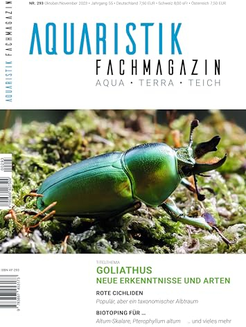 Aquaristik-Fachmagazin, Ausgabe Nr. 293 (Oktober/November 2023), Titelthema: Goliathus - Neue Erkenntnisse und Arten und viele weitere Artikel auf rund 100 Seiten