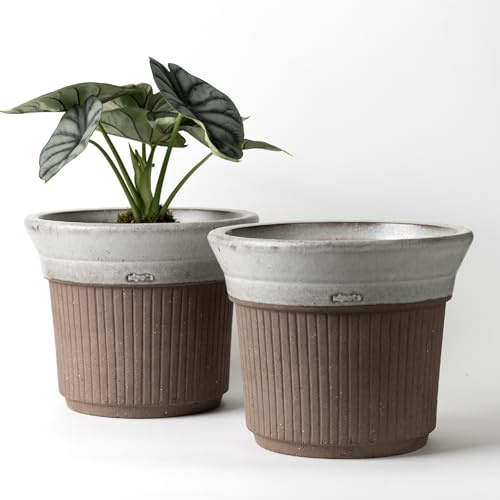 Nipots 2 Pack Terracotta Clay Plant Pots with Drainage, Breathable Water-Absorbing Planters for Healthy Roots, 8 Inch Deep Flower Pots for Gardening, Indoor and Outdoor, Semi Glazed Milk & Chocolate