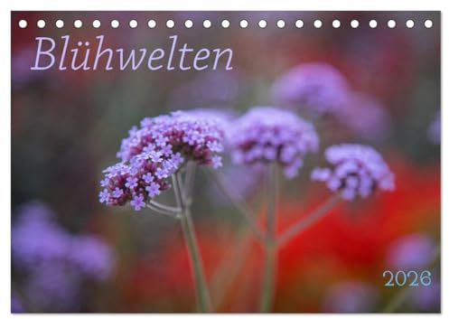 Blühwelten (Tischkalender 2026 DIN A5 quer), CALVENDO Monatskalender: Blüten verschiedener Blumen in Nahaufnahme begleiten ein Jahr. (CALVENDO Natur)