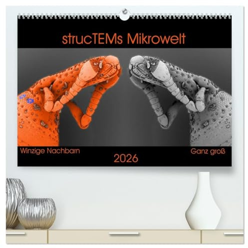 strucTEMs Mikrowelt - Winzige Nachbarn ganz groß (hochwertiger Premium Wandkalender 2026 DIN A2 quer), Kunstdruck in Hochglanz: Coole Mikroskopie-Reise zu winzigen Nachbarn (CALVENDO Wissenschaft)