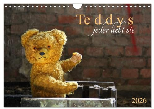 Teddys...jeder liebt sie (Wandkalender 2026 DIN A4 quer), CALVENDO Monatskalender: Teddybären groß und klein (CALVENDO Hobbys)