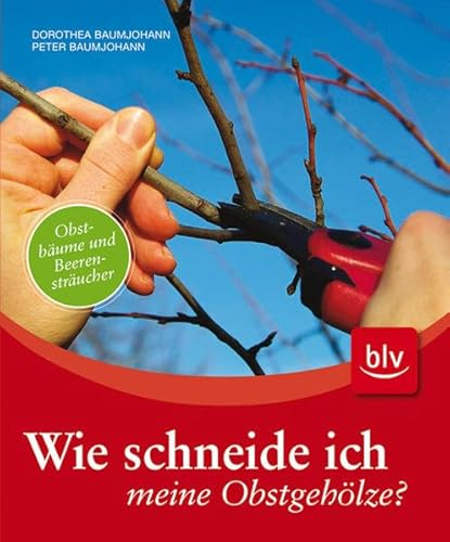 Wie schneide ich meine Obstgehölze?: Obstbäume und Beerensträucher