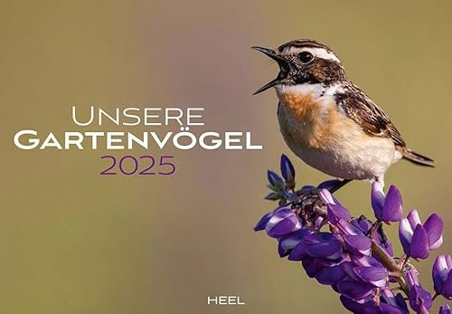 Unsere Gartenvögel Kalender 2025: Farbenprächtige Bilder unserer heimischen Vogelvielfalt. Wandkalender Vögel