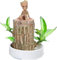 Mini Brazil Lucky Wood,Hydroponic Potted Plant Stump Small Mini Plant Indoor Office Desktop Plant,Plant Lucky Wood Bedroom Four Seasons Potted (Brazilian Wood+Doll)