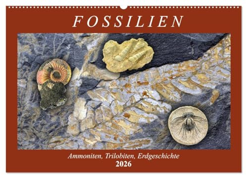 Fossilien - Ammoniten, Trilobiten, Erdgeschichte (Wandkalender 2026 DIN A2 quer), CALVENDO Monatskalender: Versteinerte Tiere und Pflanzen (CALVENDO Wissenschaft)