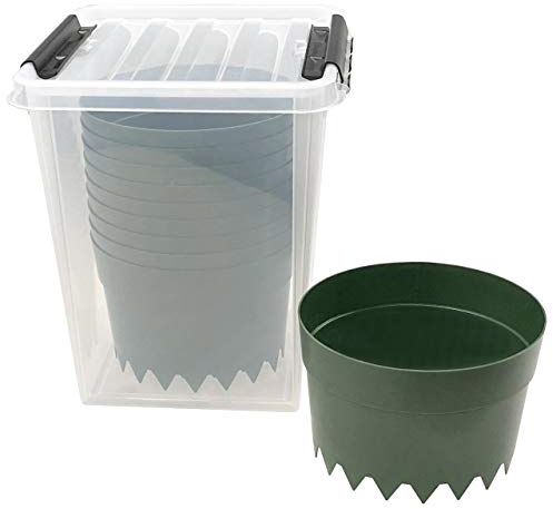 Quality-Collection AQUARING 10er-Set, Ø 20 cm GRÜN in Einer praktischen Aufbewahrungsbox