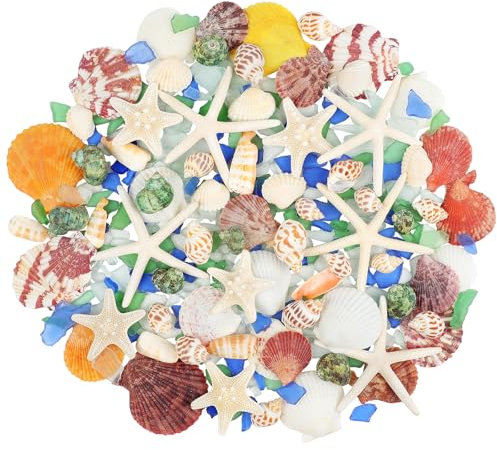 Fangoo Natürliche Seesterne Gemischte Meeresmuscheln 200g Natürliches Meeresglas Muscheln zum Basteln Geeignet für Strandpartys Esstisch Dispergierte Wohndekoration DIY Handwerk Kerze Herstellung