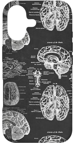 Hülle für iPhone 17 Brain Anatomy Vintage Medical Diagramme