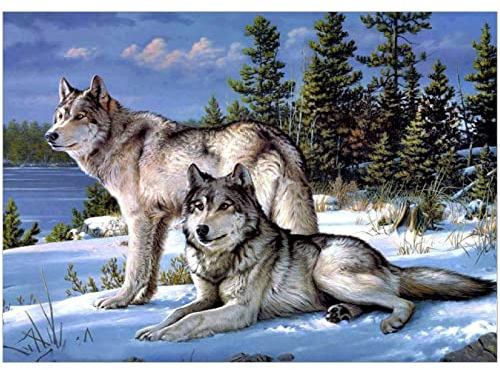 DIY 5D Diamant Malerei Set,Diamond Painting, Diamond Painting Kinder Gemälde Malen Nach Zahlen,5D Diamant Painting Two Wölfe Kreuzstich Kunst Handwerksbedarf für Home Wall Decor 40x30cm