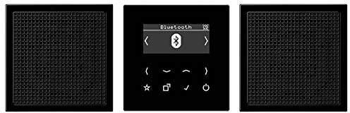 Jung DABLS2BTSW Smart Radio DAB+ mit Bluetooth - Set Stereo Schwarz