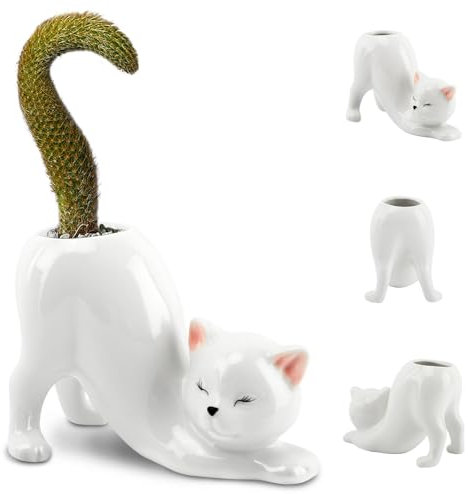 Maceta de cerámica para suculentas de gato sin cola, bonita maceta para suculentas de interior, maceta de cola de gato para plantas de interior, suculentas, flores, cactus, mini maceta de decoración