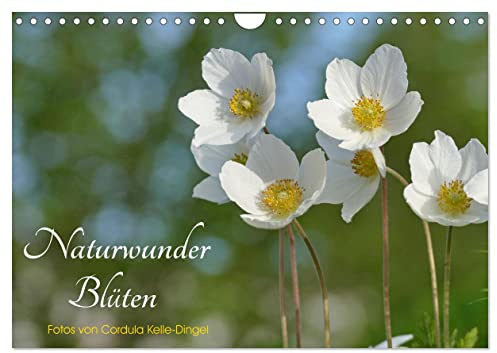 Naturwunder Blüten (Wandkalender 2026 DIN A4 quer), CALVENDO Monatskalender: Die wunderbare Welt der Blüten in faszinierenden Fotos (CALVENDO Natur)