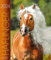 Haflinger 2024: Haflinger Pferde