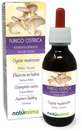 Austern-Seitling oder Austernpilz (Pleurotus ostreatus) Pilz Alkoholfreier Urtinktur Naturalma - Flüssig-Extrakt Tropfen 120 ml - Nahrungsergänzungsmittel - Veganer