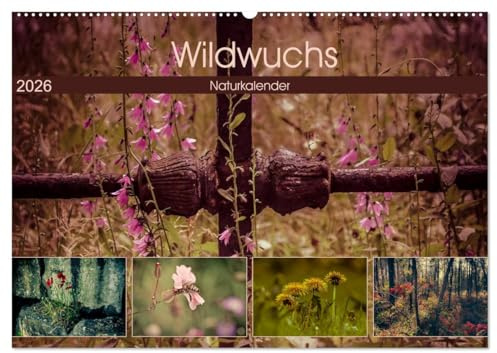 Wildwuchs 2026 (Wandkalender 2026 DIN A2 quer), CALVENDO Monatskalender: Wilde Pflanzenschönheiten begleiten durch das ganze Jahr. (CALVENDO Natur)