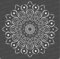 CrafTreat Stencils Mandala Peacock Dot Mandala (30 cm x 30 cm) Mandala Stencil Reusable Stencils for Painting on Wood, Canvas, Paper, Fabric, Floor, Wall and Tiles DIY Art and Crafts