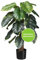 CREATIV green große künstliche Monstera Pflanze im Topf 90cm I Kunstpflanze mit 18 naturgetreuen Blättern & Erde & Stamm I künstliche Zimmerpflanze groß I Grünpflanzen künstlich ideal als Indoor Deko
