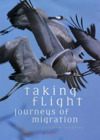 Taking Flight: Journeys of Migration