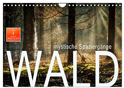 Wald - mystische Spaziergänge (Wandkalender 2025 DIN A4 quer), CALVENDO Monatskalender: Unterwegs in prächtigen Wäldern, mit allen Sinnen genießend. (CALVENDO Kunst)