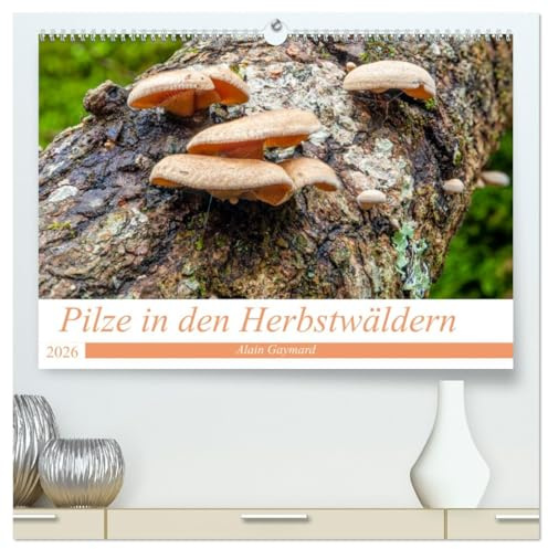 Pilze in den Herbstwäldern (hochwertiger Premium Wandkalender 2026 DIN A2 quer), Kunstdruck in Hochglanz: Ein Überblick über die Pilze, die unsere Wälder füllen (CALVENDO Natur)