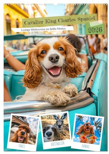 Cavalier King Charles Spaniel - Lustige Weltenreise im Selfie-Modus (Wandkalender 2026 DIN A2 hoch), CALVENDO Monatskalender: Cavalier King Charles ... - Eine Weltreise in Selfies (CALVENDO Tiere)