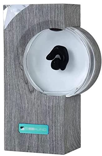 Magnetische Fluid Bluetooth Lautsprecher Rhythmus Licht - 360° Surround Sound Heimkino Audio Musik Tonabnehmer - Tanzendes Ferrofluid mit Musikrhythmus - Perfekte Desktop-Dekor für Home TV Computer
